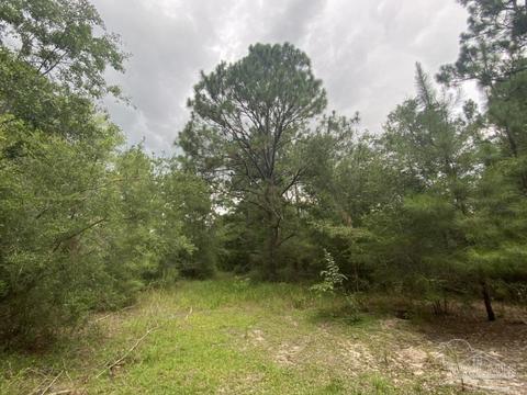 1877 Parker Rd, Cantonment, FL 32533 photo 9