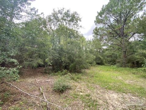 1877 Parker Rd, Cantonment, FL 32533 photo 33
