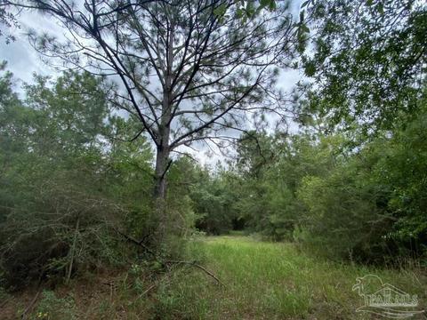 1877 Parker Rd, Cantonment, FL 32533 photo 30