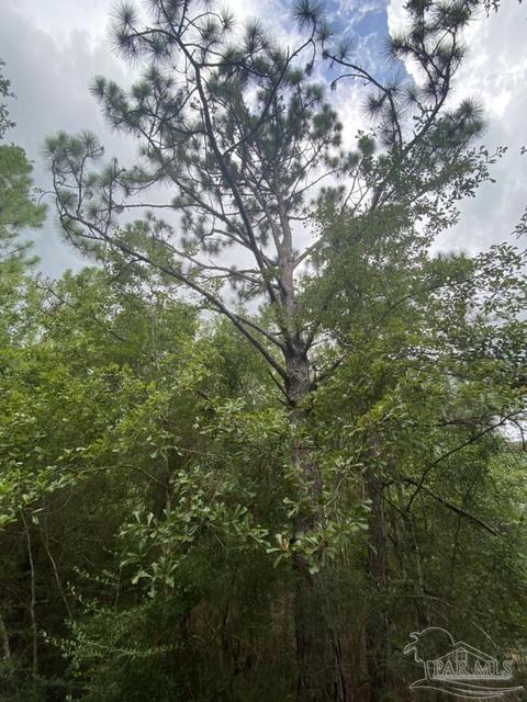 1877 Parker Rd, Cantonment, FL 32533 photo 39