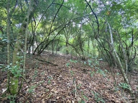 1877 Parker Rd, Cantonment, FL 32533 photo 8