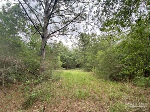 1877 Parker Rd, Cantonment, FL 32533 photo 45