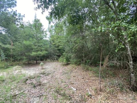 1877 Parker Rd, Cantonment, FL 32533 photo 34