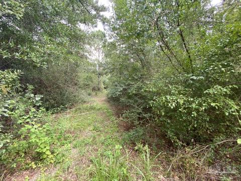 1877 Parker Rd, Cantonment, FL 32533 photo 32