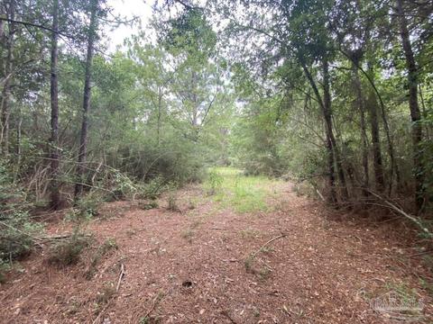 1877 Parker Rd, Cantonment, FL 32533 photo 35