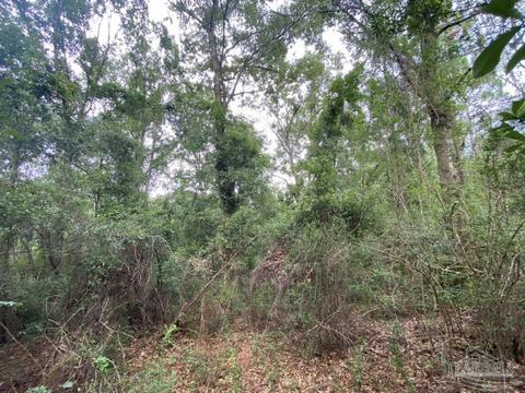1877 Parker Rd, Cantonment, FL 32533 photo 28