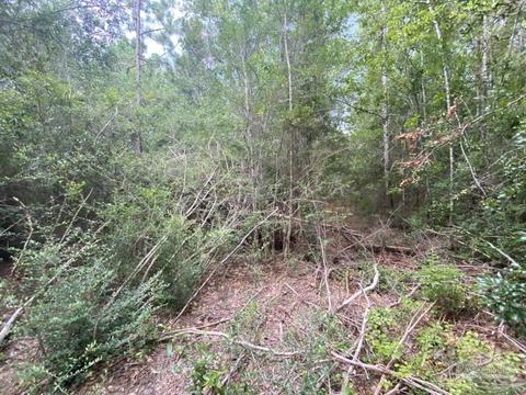 1877 Parker Rd, Cantonment, FL 32533 photo 42