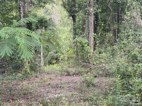 1877 Parker Rd, Cantonment, FL 32533 photo 41