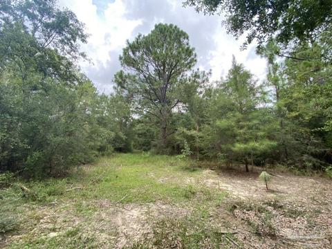 1877 Parker Rd, Cantonment, FL 32533 photo 1