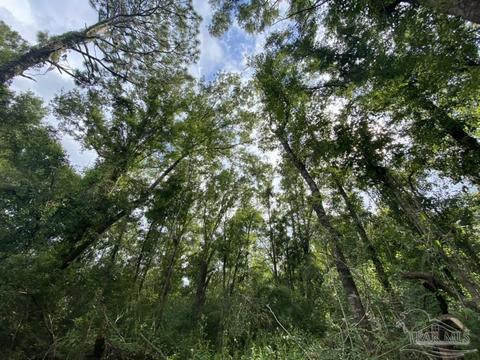1877 Parker Rd, Cantonment, FL 32533 photo 11