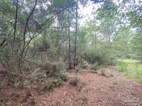 1877 Parker Rd, Cantonment, FL 32533 photo 36