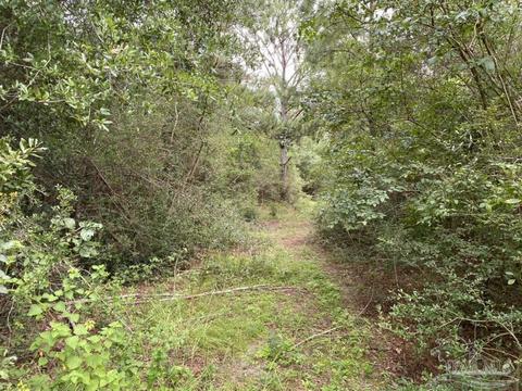 1877 Parker Rd, Cantonment, FL 32533 photo 31