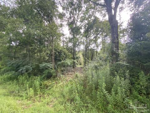 1877 Parker Rd, Cantonment, FL 32533 photo 44