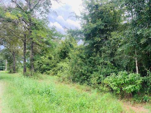 2209 Bud Diamond Rd, Jay, FL 32565 photo 2