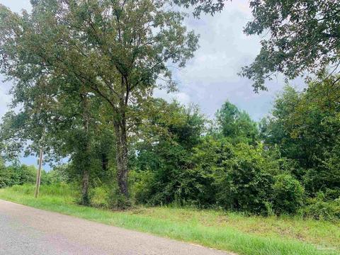 2209 Bud Diamond Rd, Jay, FL 32565 photo 1