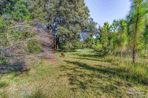 8351 Edith Ave, Milton, FL 32570 photo 32