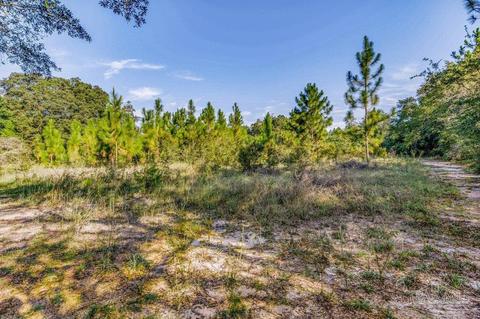 8351 Edith Ave, Milton, FL 32570 photo 34
