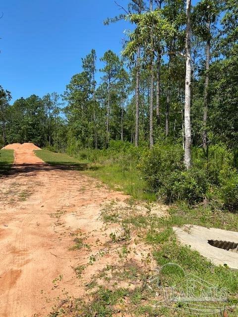 2169 Mykell Dr, Milton, FL 32583 photo 5