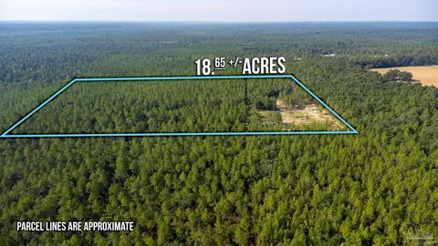 6305 Old River Rd, Baker, FL 32531 photo 1