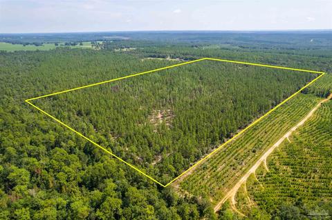 3055 Velor Rd, Mcdavid, FL 32568 photo 1