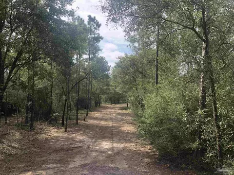 0000 Molino Bridge Rd, Pace, FL 32571 photo 30