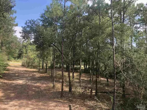 0000 Molino Bridge Rd, Pace, FL 32571 photo 32