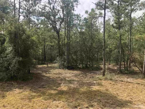 0000 Molino Bridge Rd, Pace, FL 32571 photo 7