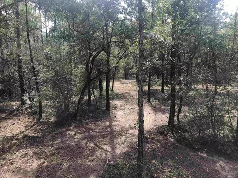 0000 Molino Bridge Rd, Pace, FL 32571 photo 27