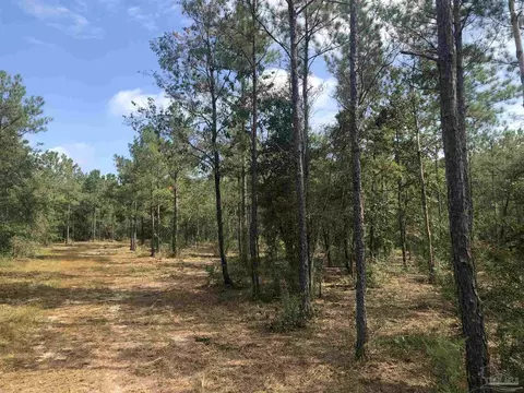 0000 Molino Bridge Rd, Pace, FL 32571 photo 10