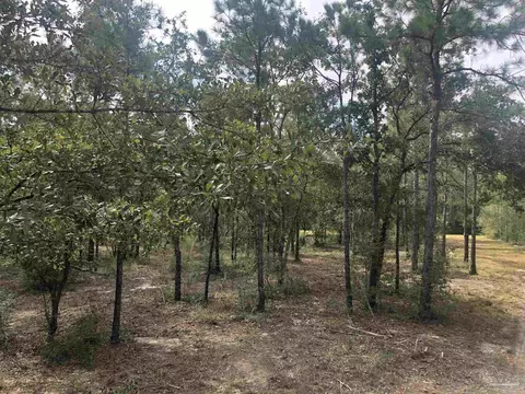 0000 Molino Bridge Rd, Pace, FL 32571 photo 26