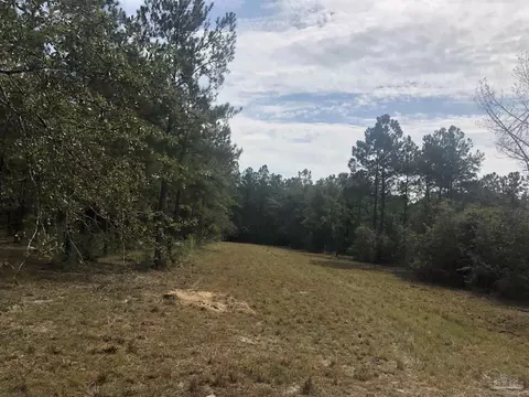0000 Molino Bridge Rd, Pace, FL 32571 photo 9