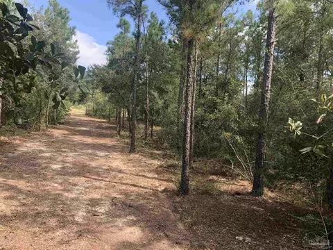 0000 Molino Bridge Rd, Pace, FL 32571 photo 31