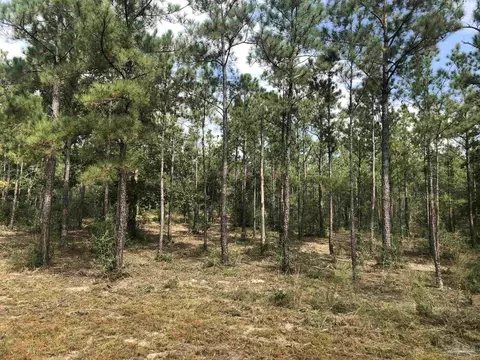 0000 Molino Bridge Rd, Pace, FL 32571 photo 17