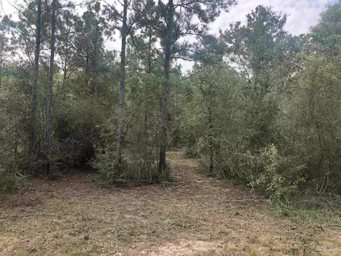 0000 Molino Bridge Rd, Pace, FL 32571 photo 18