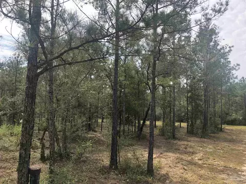 0000 Molino Bridge Rd, Pace, FL 32571 photo 24