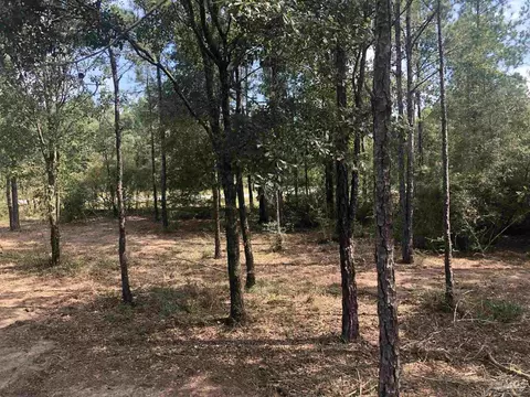 0000 Molino Bridge Rd, Pace, FL 32571 photo 16