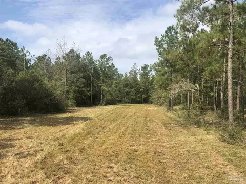 0000 Molino Bridge Rd, Pace, FL 32571 photo 8