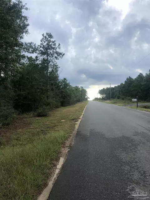 0000 Molino Bridge Rd, Pace, FL 32571 photo 33