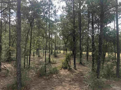 0000 Molino Bridge Rd, Pace, FL 32571 photo 20