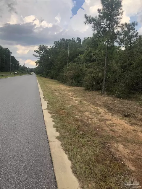 0000 Molino Bridge Rd, Pace, FL 32571 photo 34