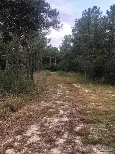 0000 Molino Bridge Rd, Pace, FL 32571 photo 3