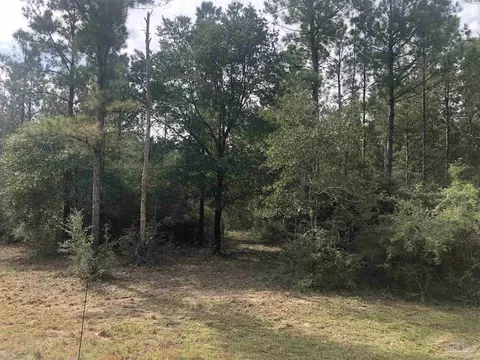 0000 Molino Bridge Rd, Pace, FL 32571 photo 21