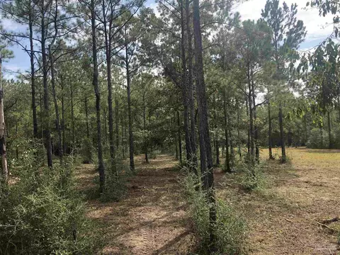 0000 Molino Bridge Rd, Pace, FL 32571 photo 12