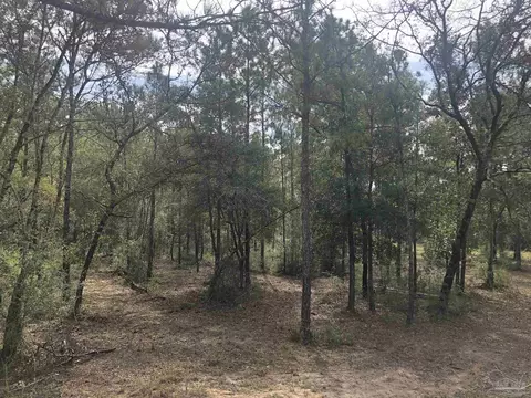 0000 Molino Bridge Rd, Pace, FL 32571 photo 14