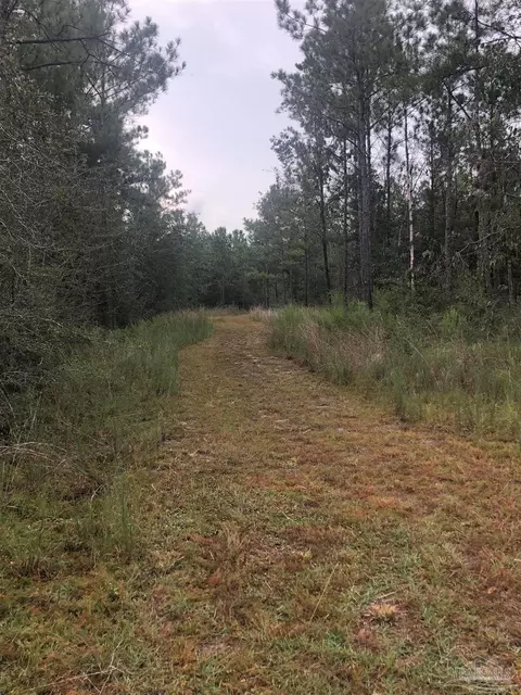 0000 Molino Bridge Rd, Pace, FL 32571 photo 4