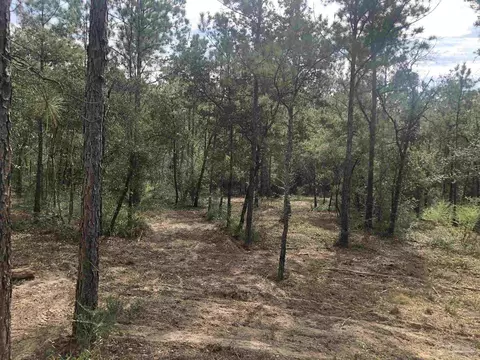 0000 Molino Bridge Rd, Pace, FL 32571 photo 15