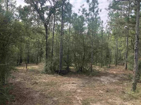 0000 Molino Bridge Rd, Pace, FL 32571 photo 19