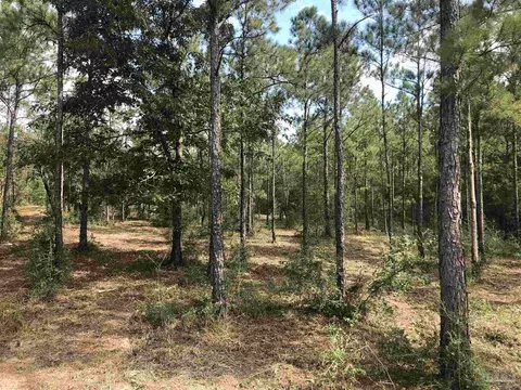 0000 Molino Bridge Rd, Pace, FL 32571 photo 23
