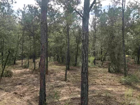 0000 Molino Bridge Rd, Pace, FL 32571 photo 25