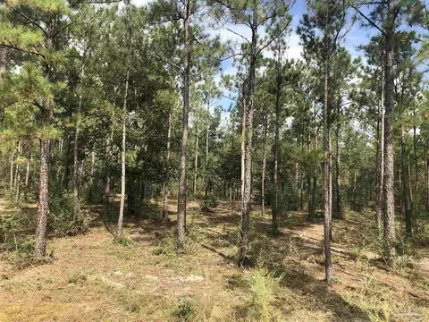 0000 Molino Bridge Rd, Pace, FL 32571 photo 6